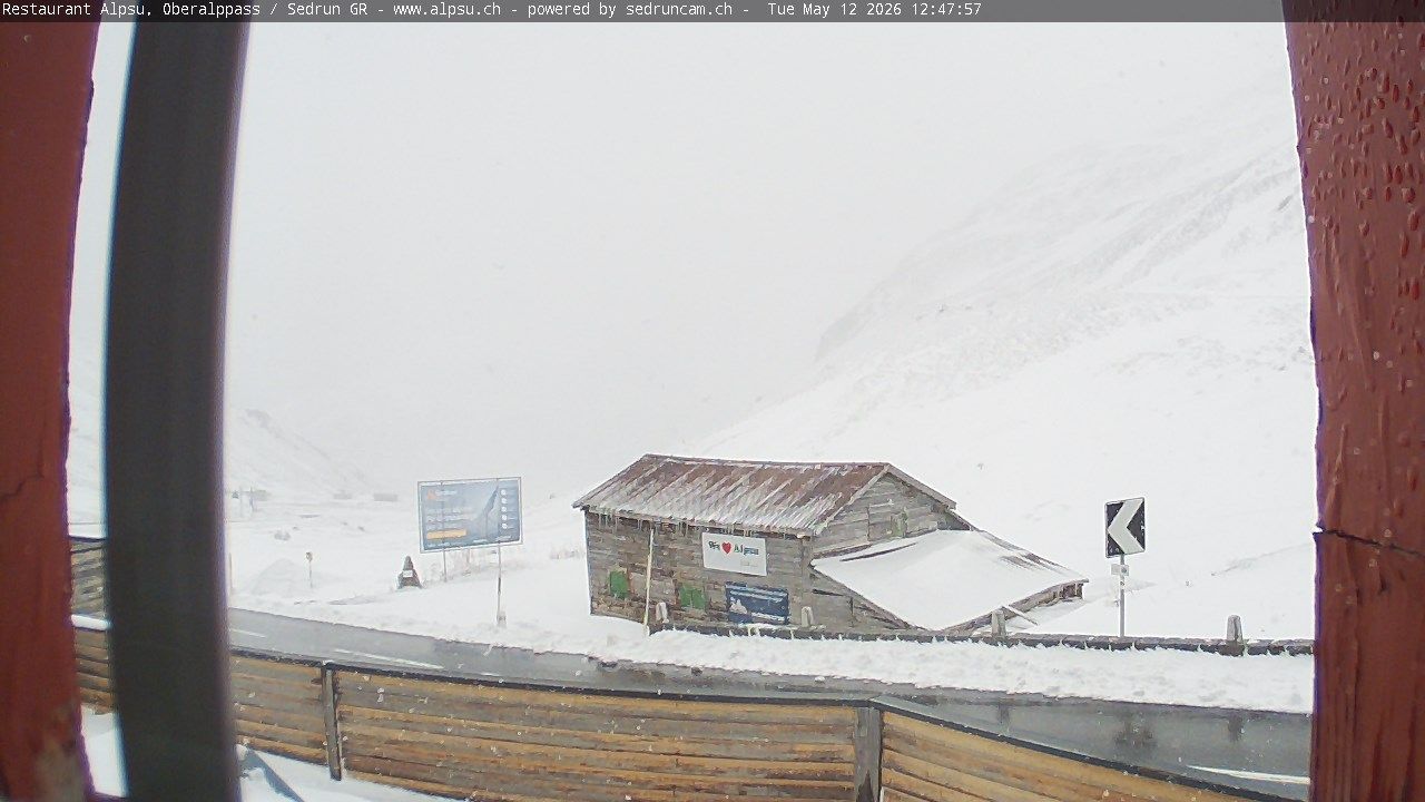 Tujetsch › Südosten: Oberalppass - Graubünden, Schweiz: Pazzola