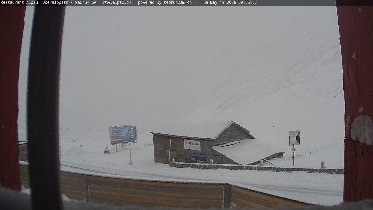 Tujetsch › Südosten: Oberalppass - Graubünden, Schweiz: Pazzola