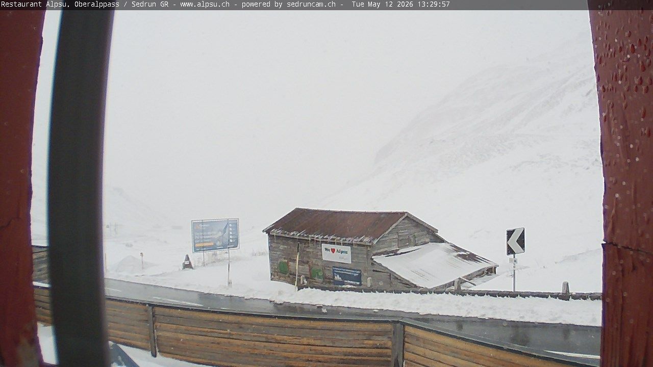 Tujetsch › Südosten: Oberalppass - Graubünden, Schweiz: Pazzola