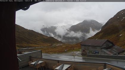 Tujetsch › Süd-Ost: Oberalppass - Pazzola