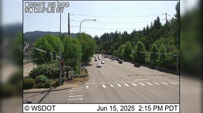 Issaquah Traffic & Landscape (SR 900)
