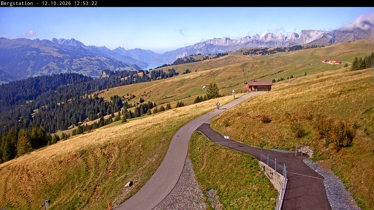 Wartau › Westen: Seilbahn Palfries - Churfirsten