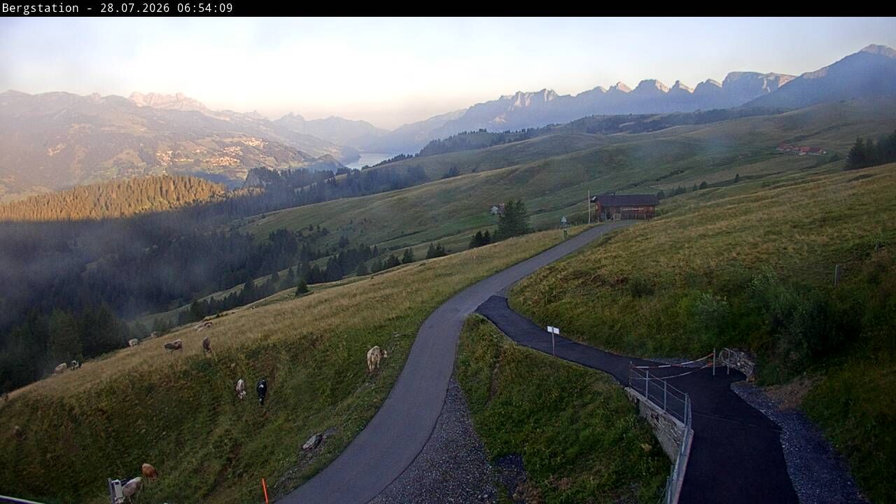 Wartau › Westen: Seilbahn Palfries - Churfirsten