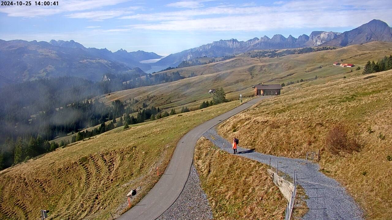 Wartau › West: Seilbahn Palfries - Churfirsten