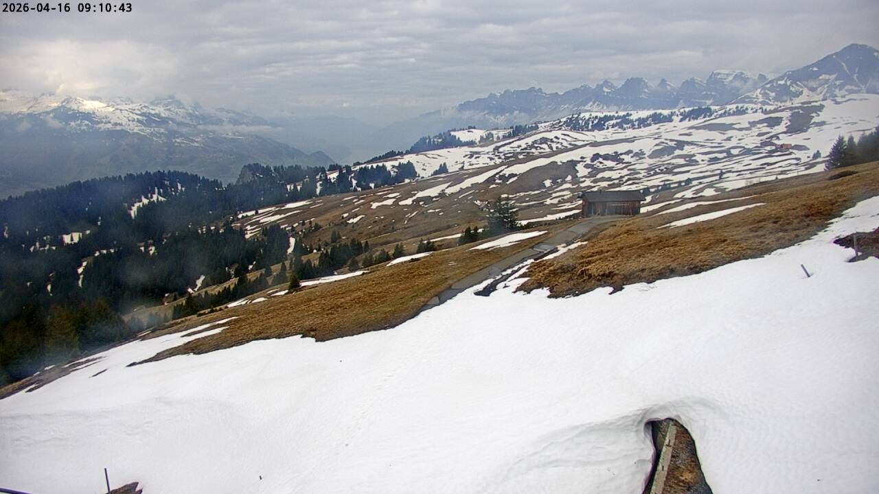 Wartau › Westen: Seilbahn Palfries - Churfirsten