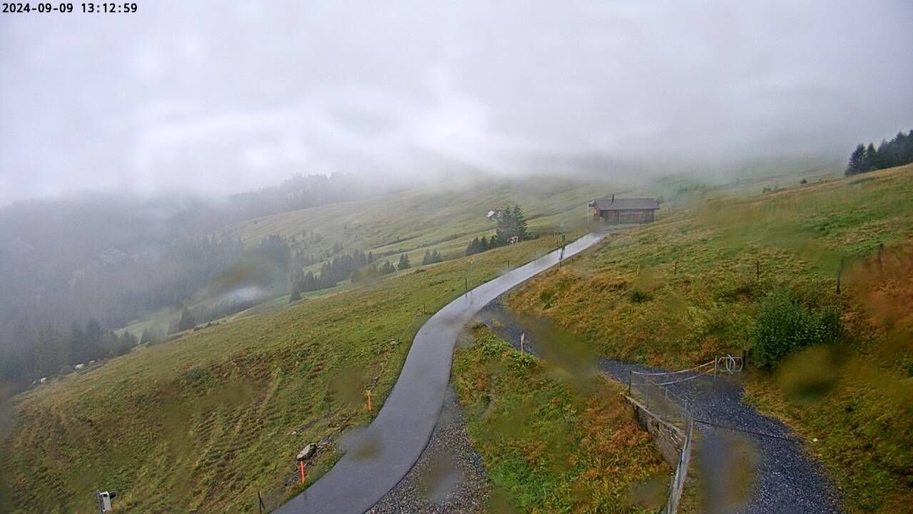 Wartau › West: Seilbahn Palfries - Churfirsten