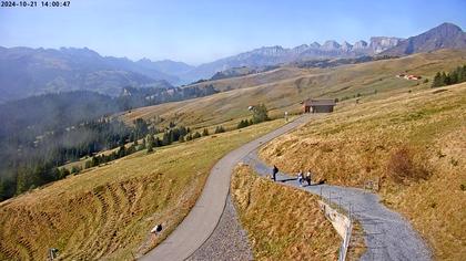 Wartau › West: Seilbahn Palfries - Churfirsten