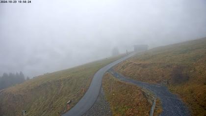 Wartau › West: Seilbahn Palfries - Churfirsten