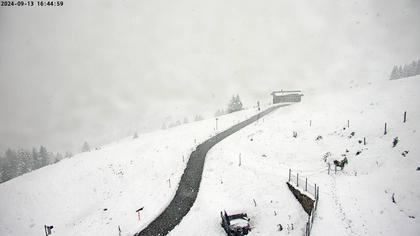 Wartau › West: Seilbahn Palfries - Churfirsten