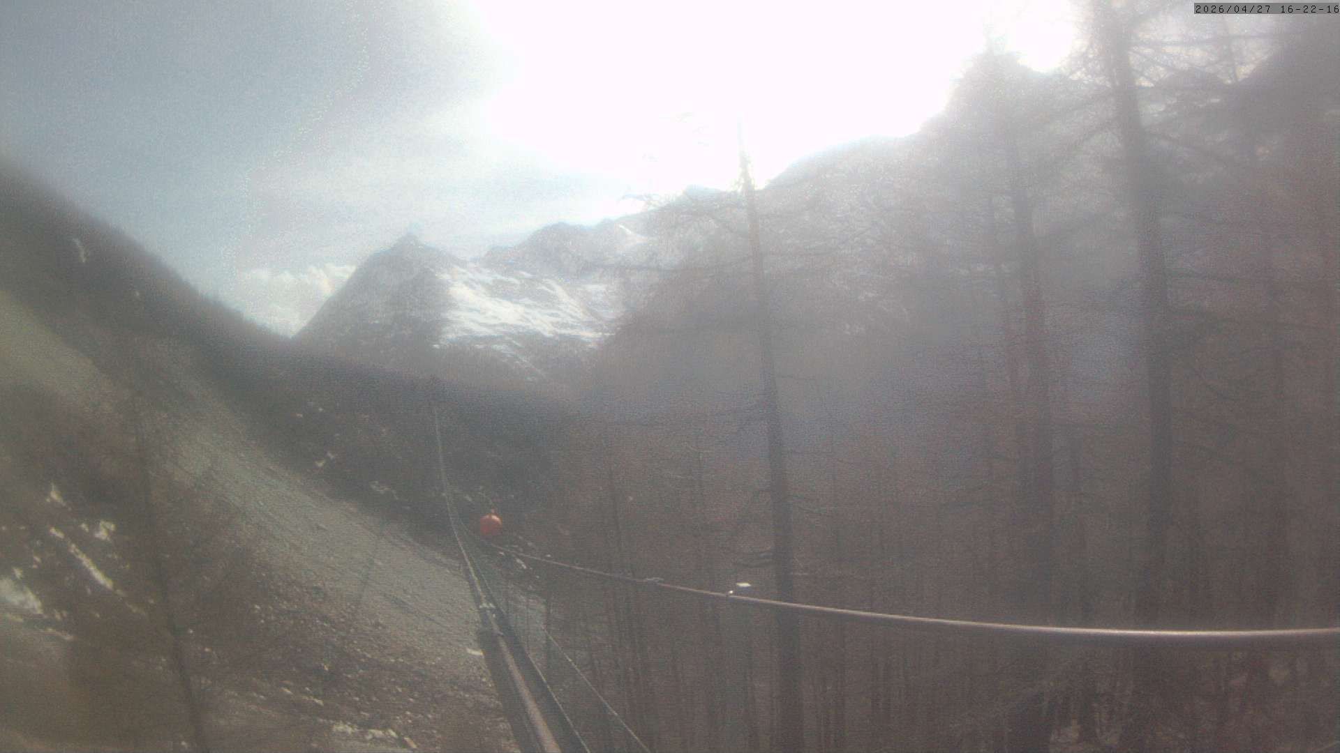 Randa: Charles Kuonen Suspension Bridge