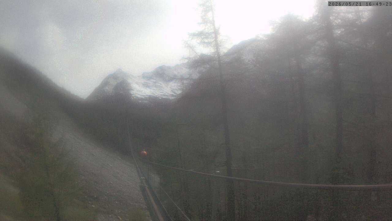 Randa: Charles Kuonen Suspension Bridge