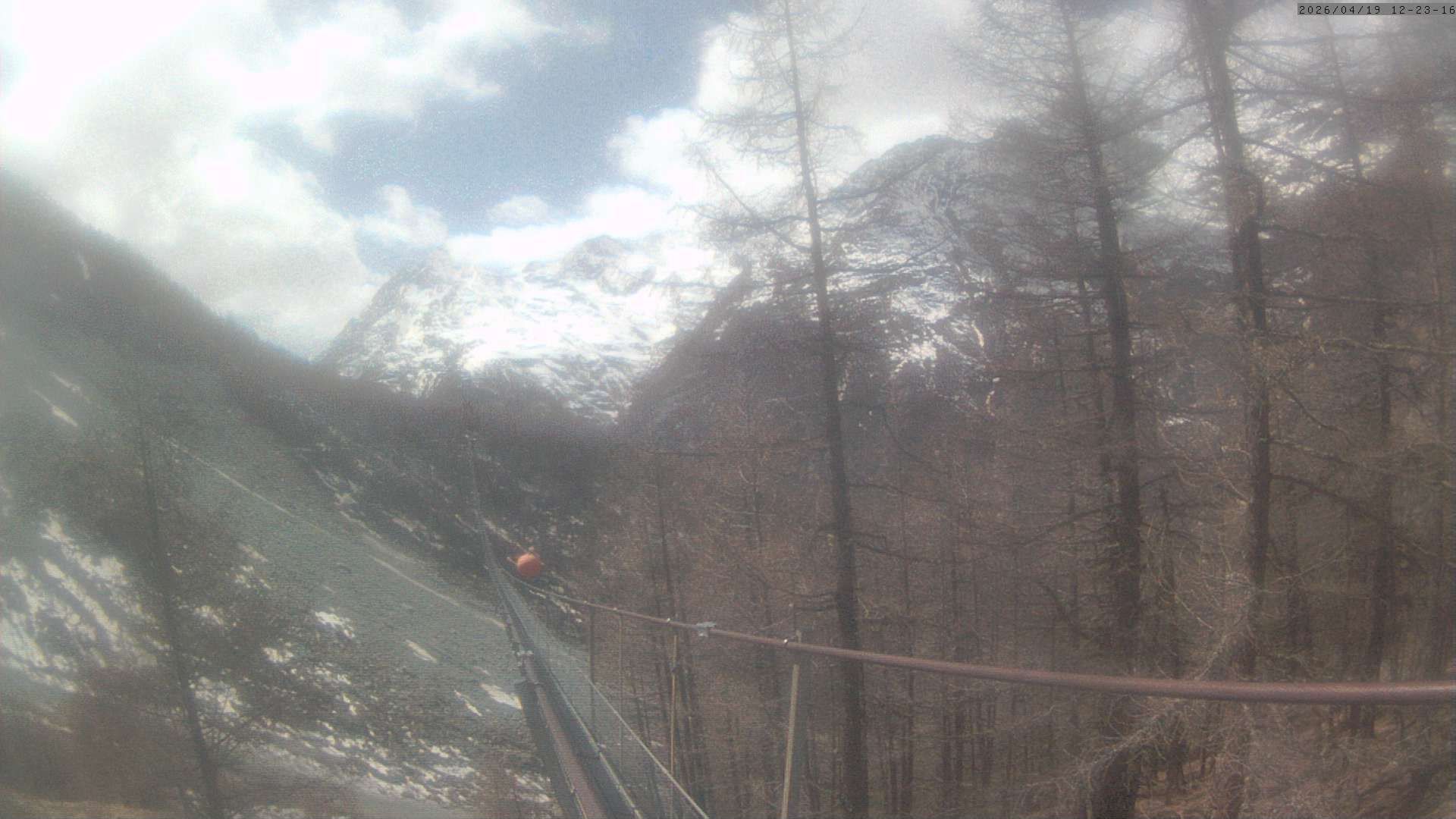 Randa: Charles Kuonen Suspension Bridge