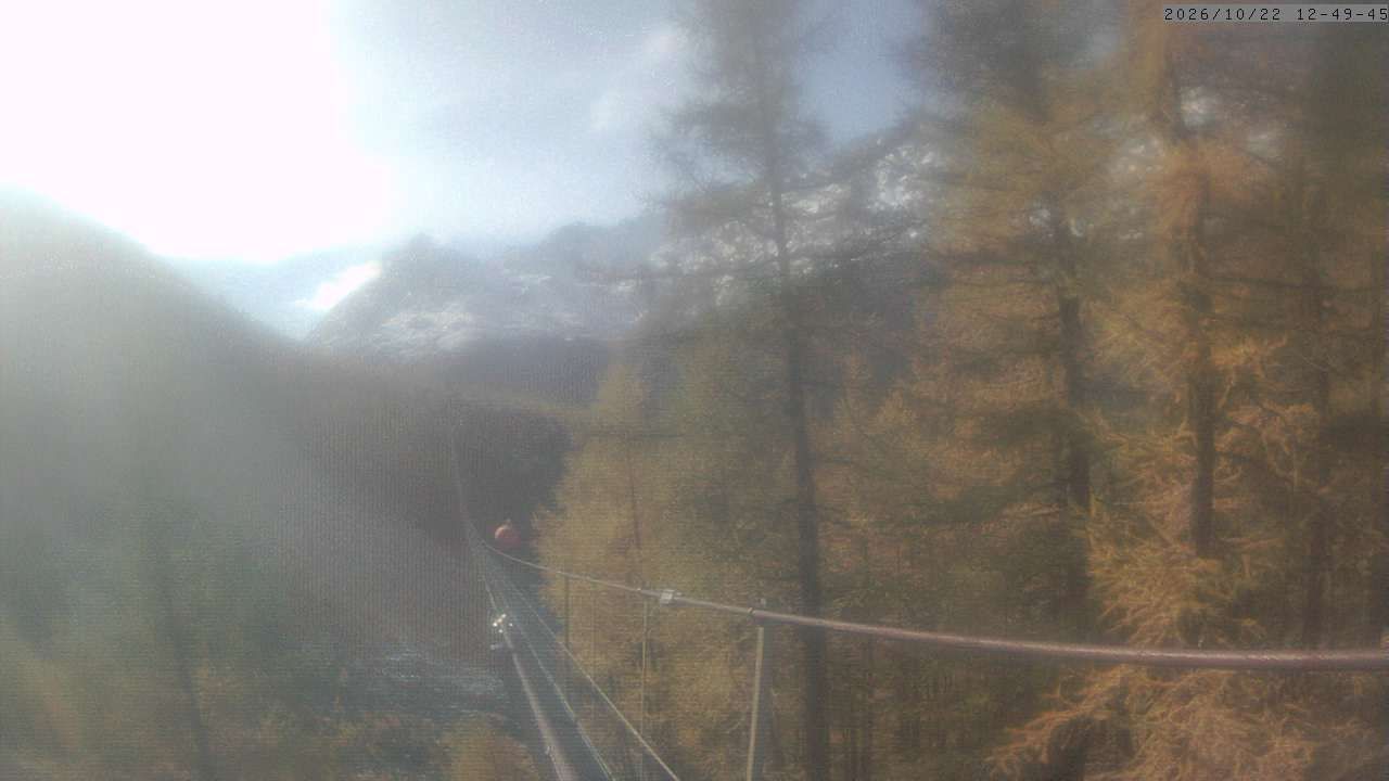 Randa: Charles Kuonen Suspension Bridge