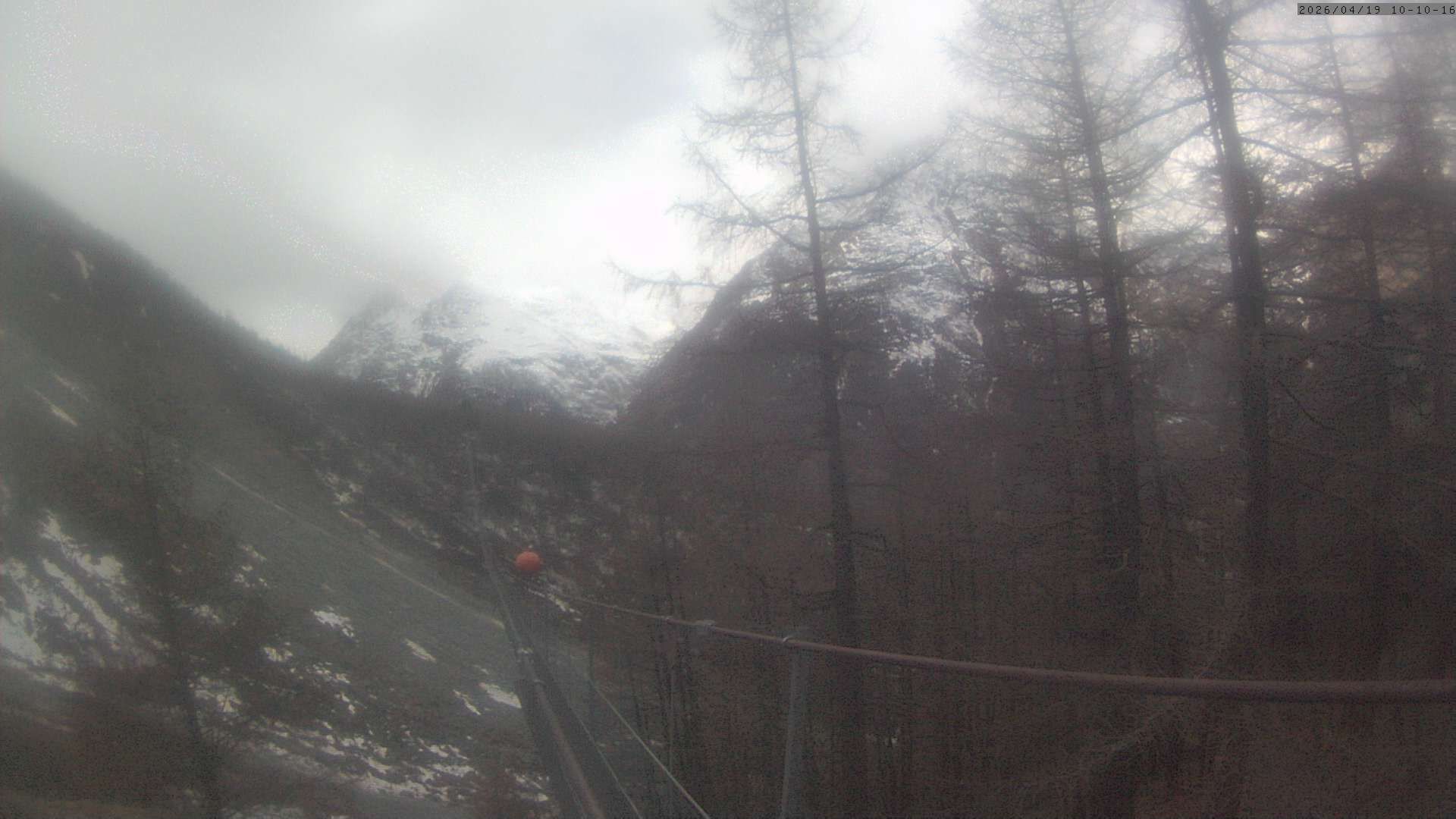 Randa: Charles Kuonen Suspension Bridge