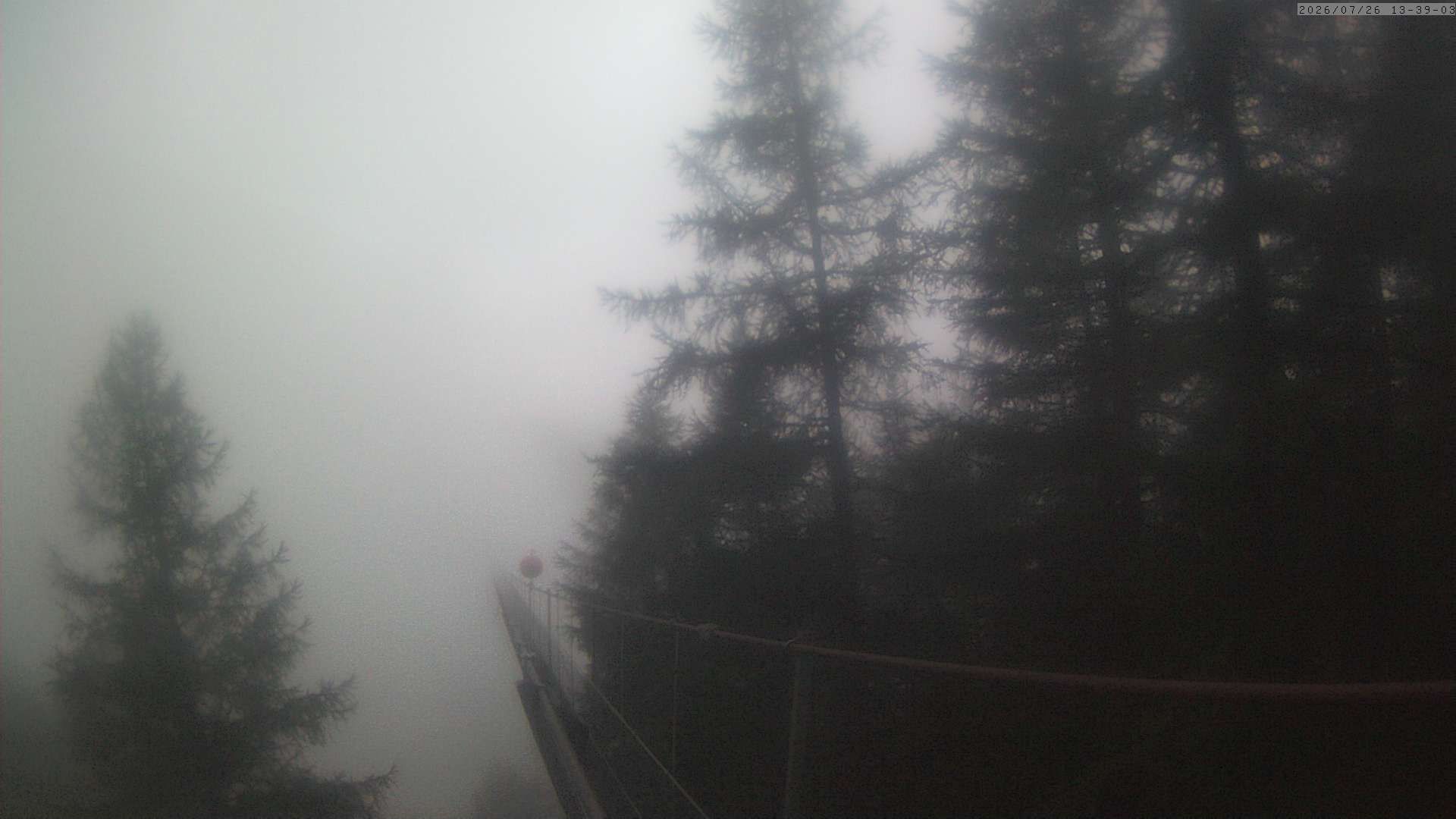 Randa: Charles Kuonen Suspension Bridge