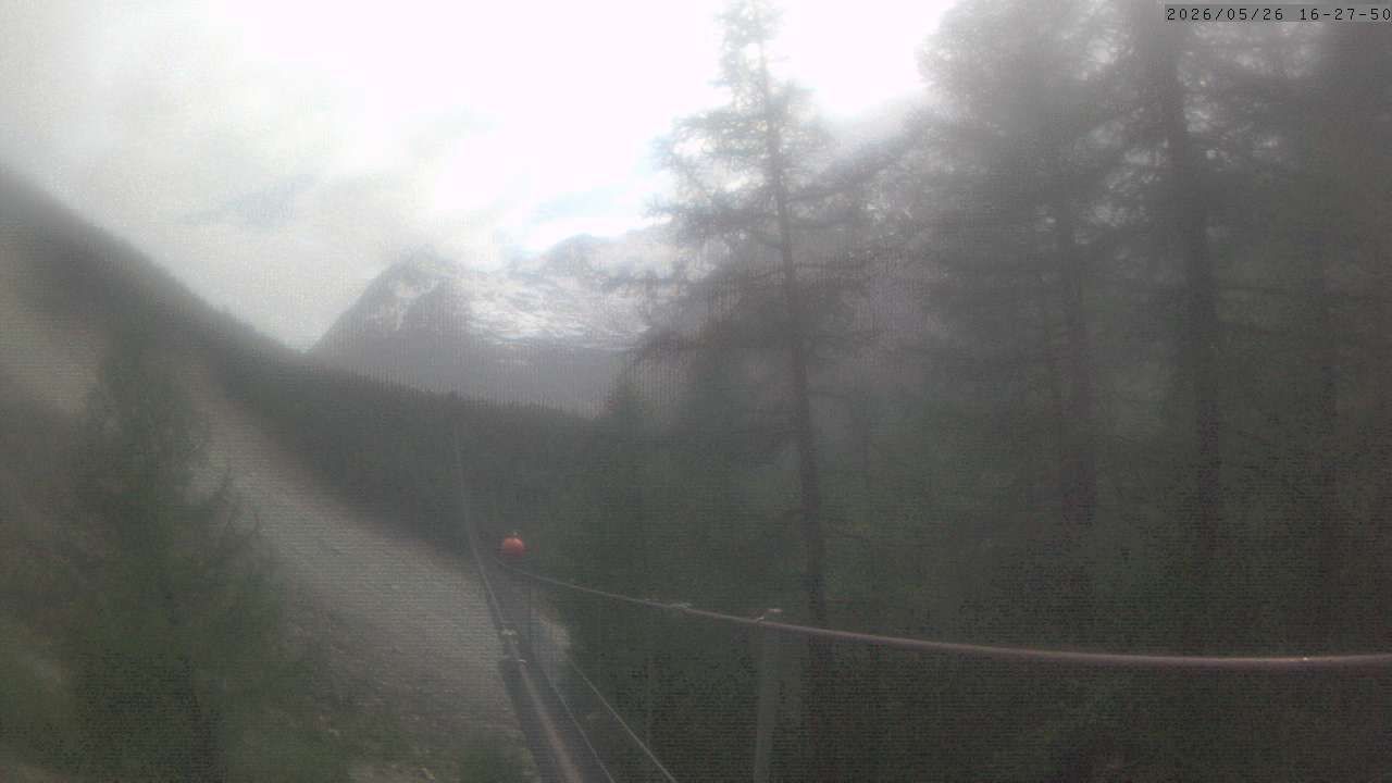Randa: Charles Kuonen Suspension Bridge