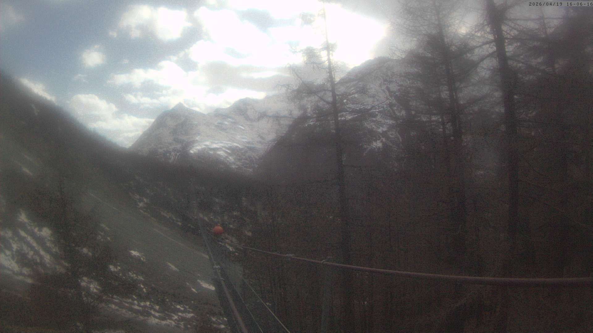 Randa: Charles Kuonen Suspension Bridge