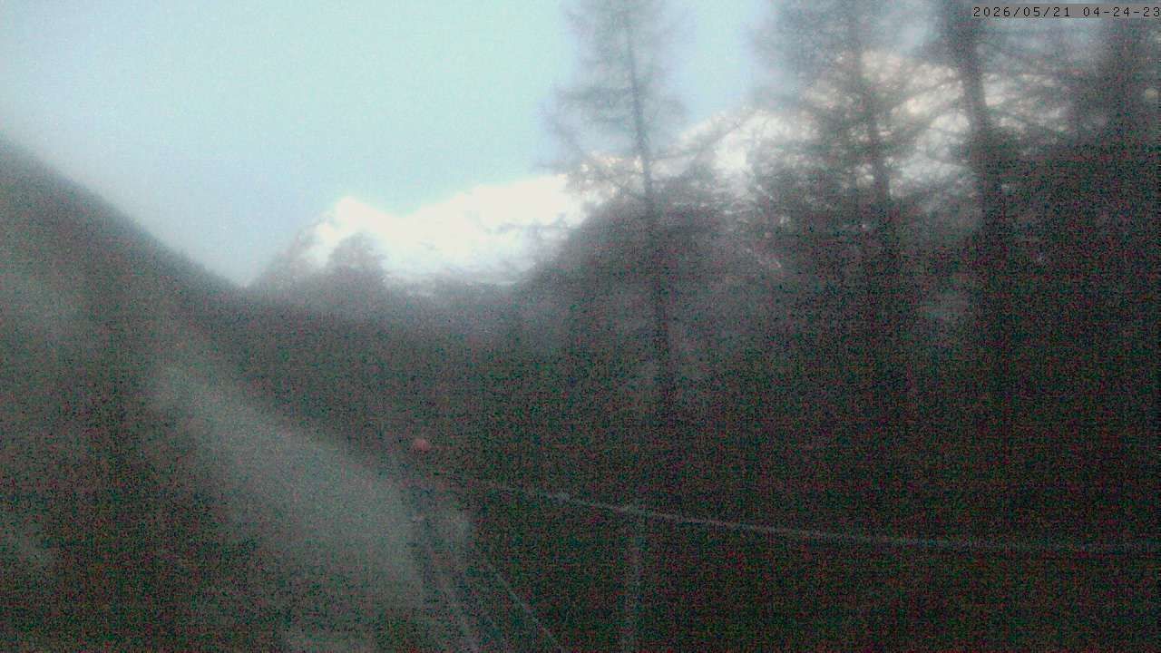 Randa: Charles Kuonen Suspension Bridge