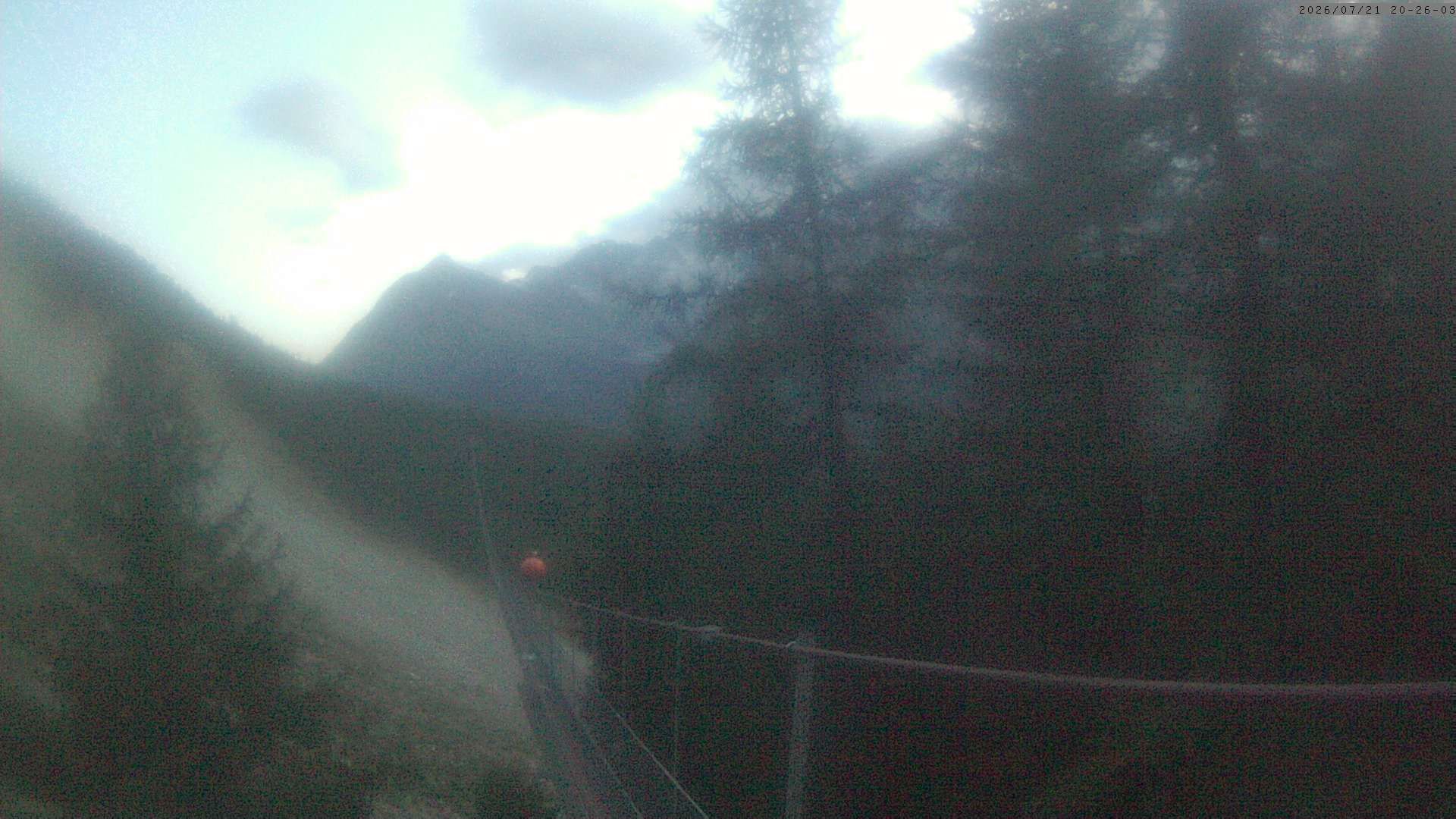 Randa: Charles Kuonen Suspension Bridge