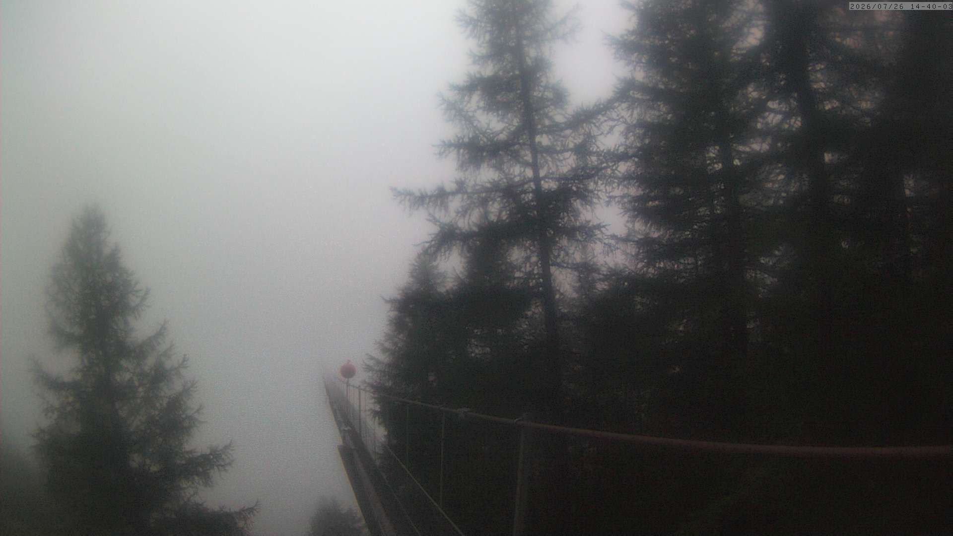 Randa: Charles Kuonen Suspension Bridge