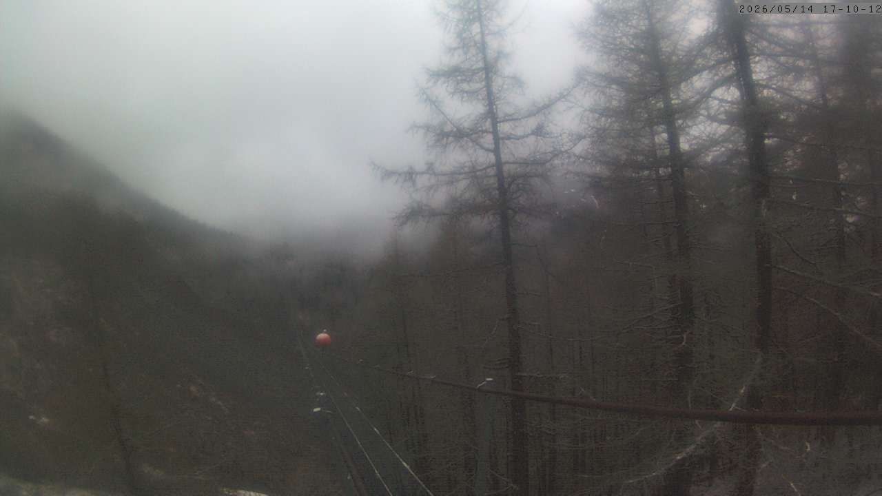 Randa: Charles Kuonen Suspension Bridge