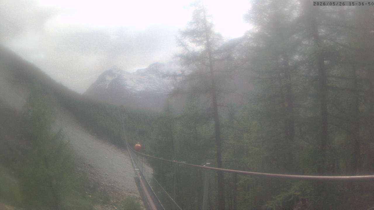 Randa: Charles Kuonen Suspension Bridge