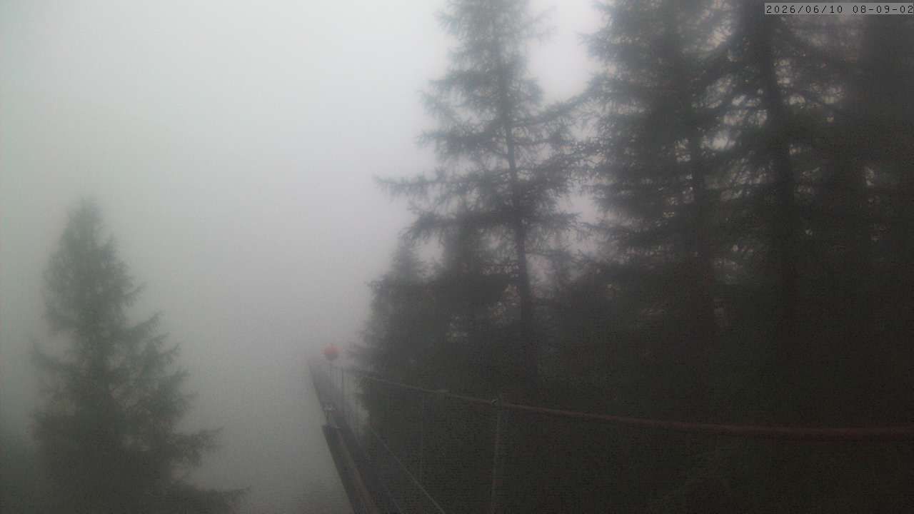 Randa: Charles Kuonen Suspension Bridge
