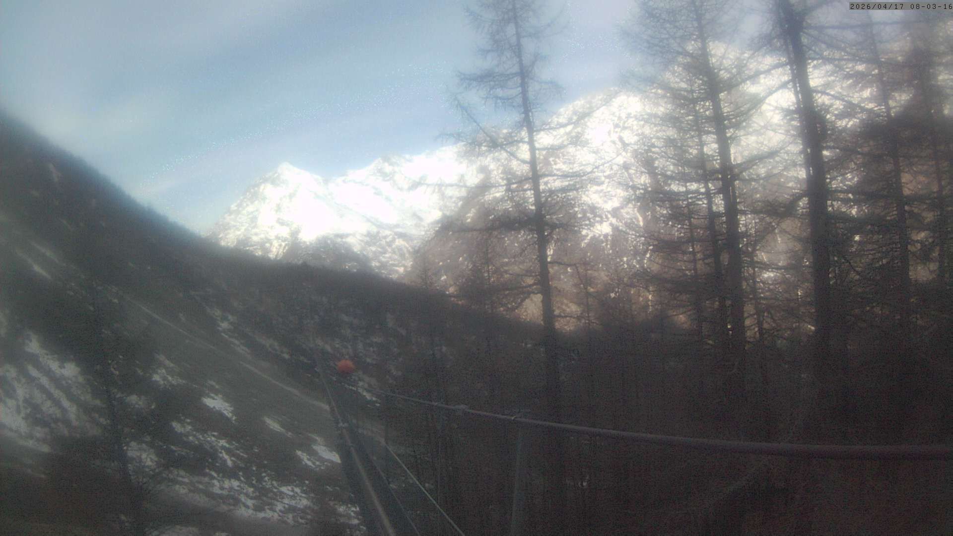 Randa: Charles Kuonen Suspension Bridge