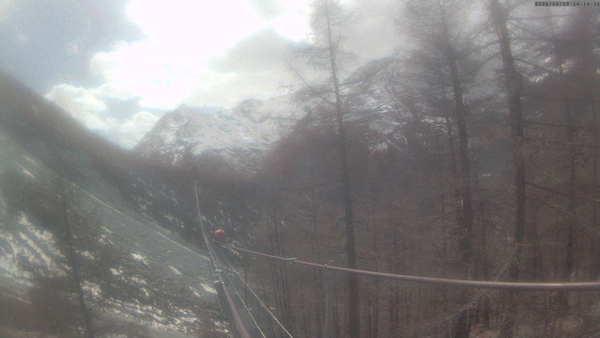 Randa: Charles Kuonen Suspension Bridge