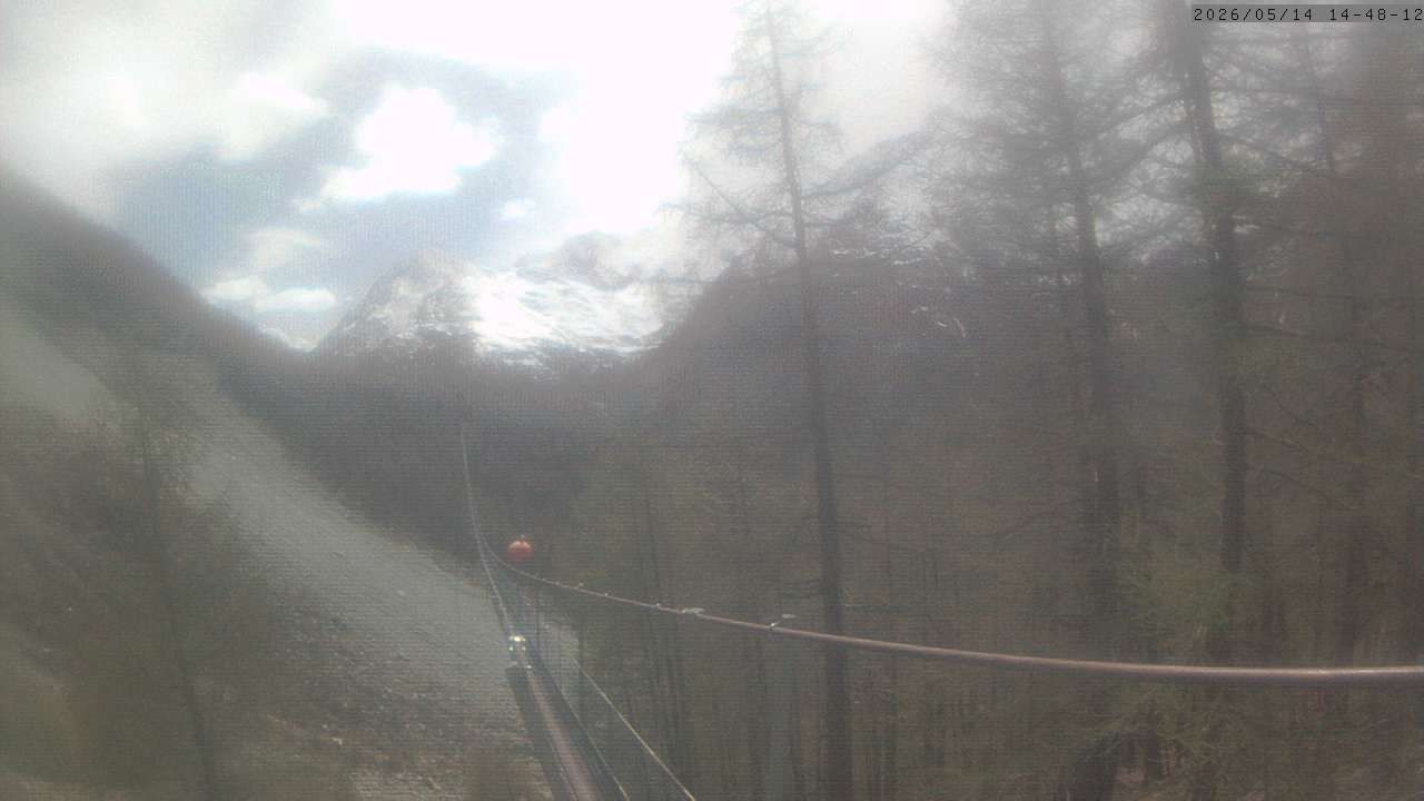Randa: Charles Kuonen Suspension Bridge