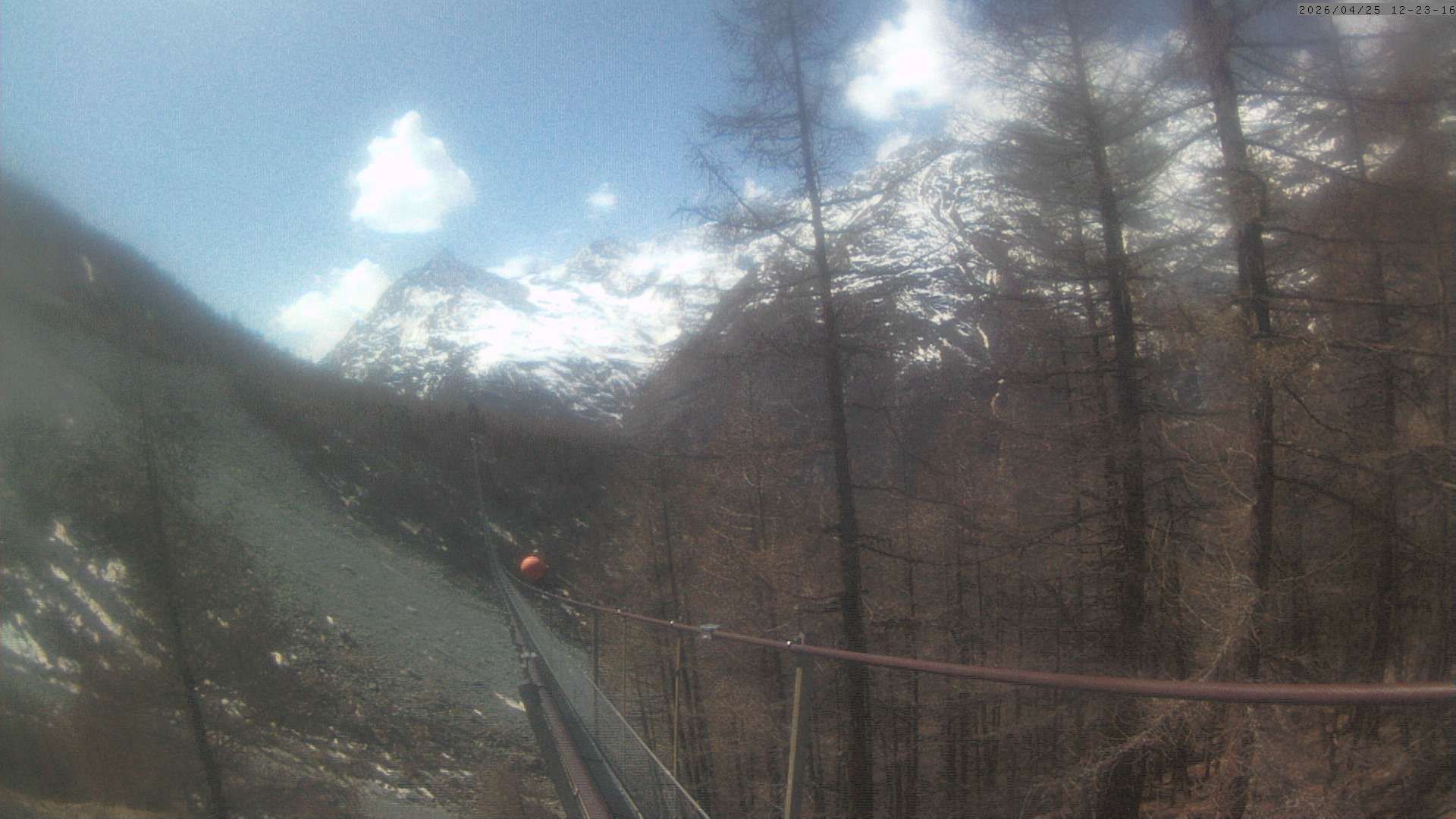 Randa: Charles Kuonen Suspension Bridge