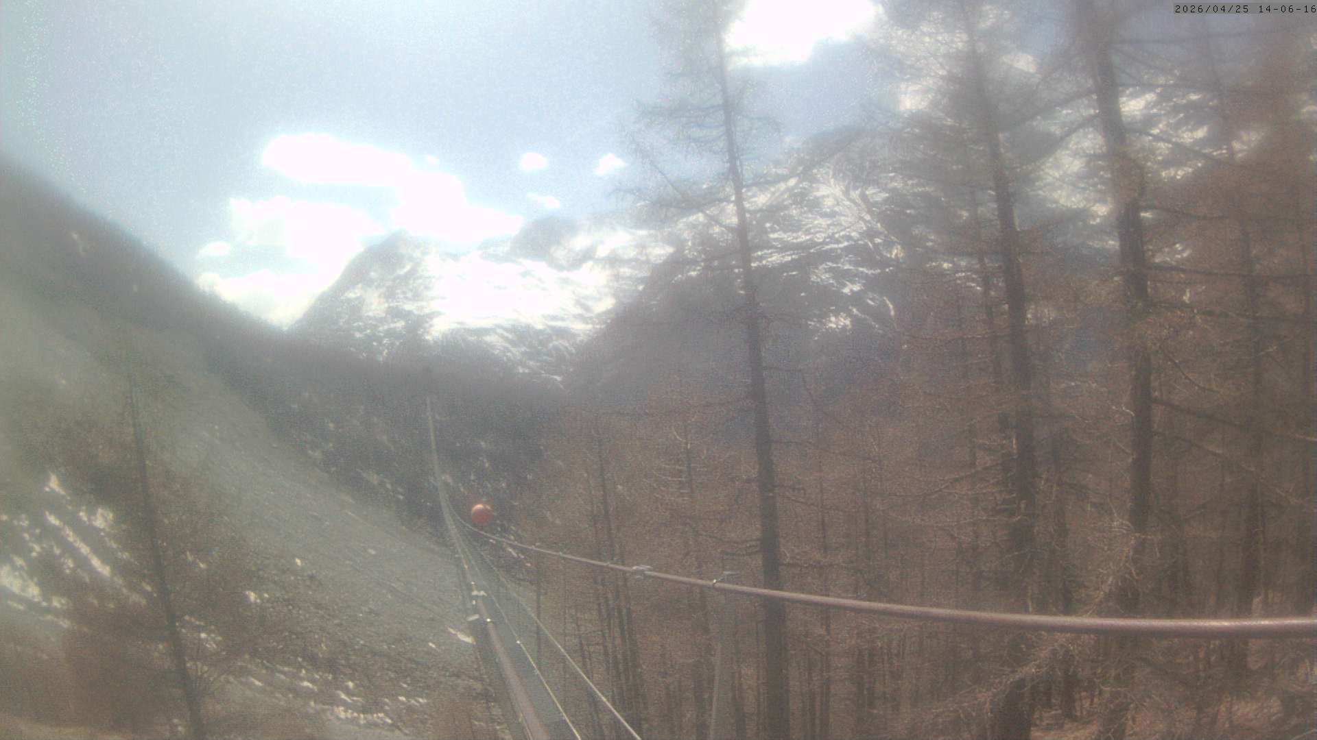 Randa: Charles Kuonen Suspension Bridge