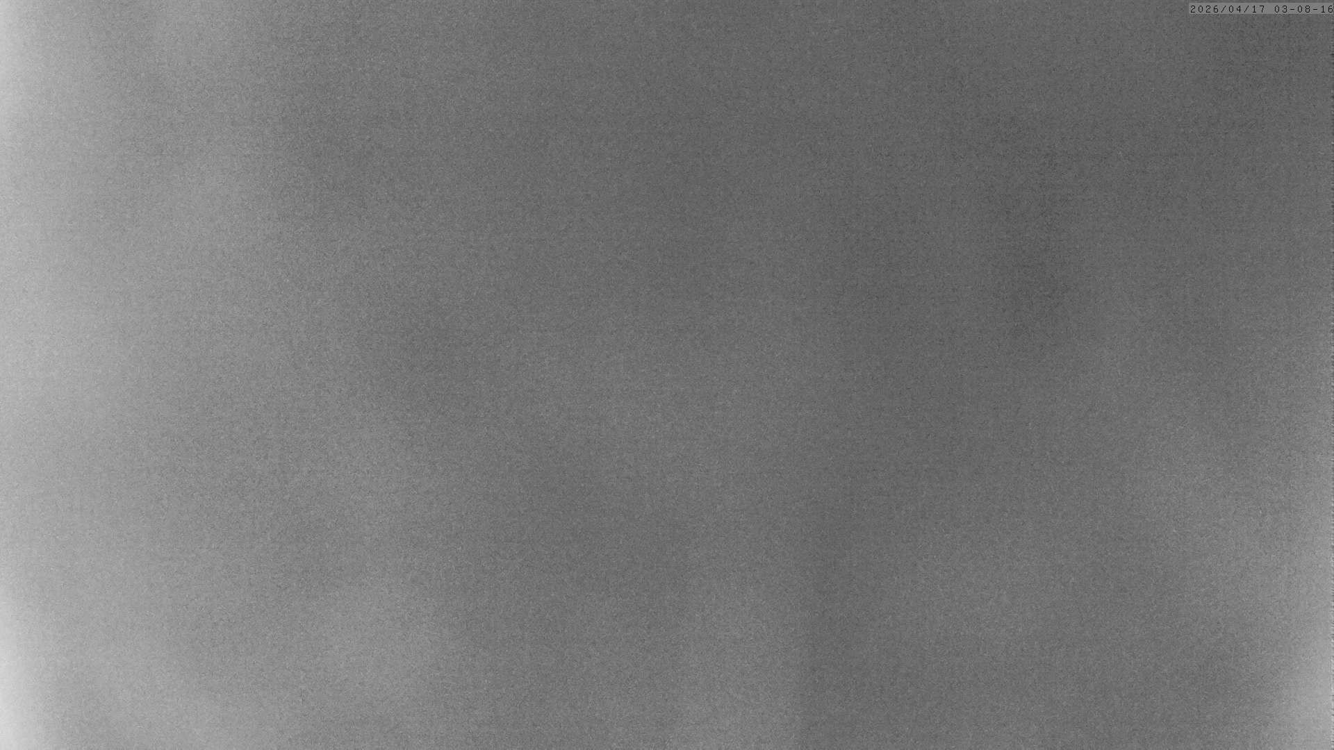 Randa: Charles Kuonen Suspension Bridge