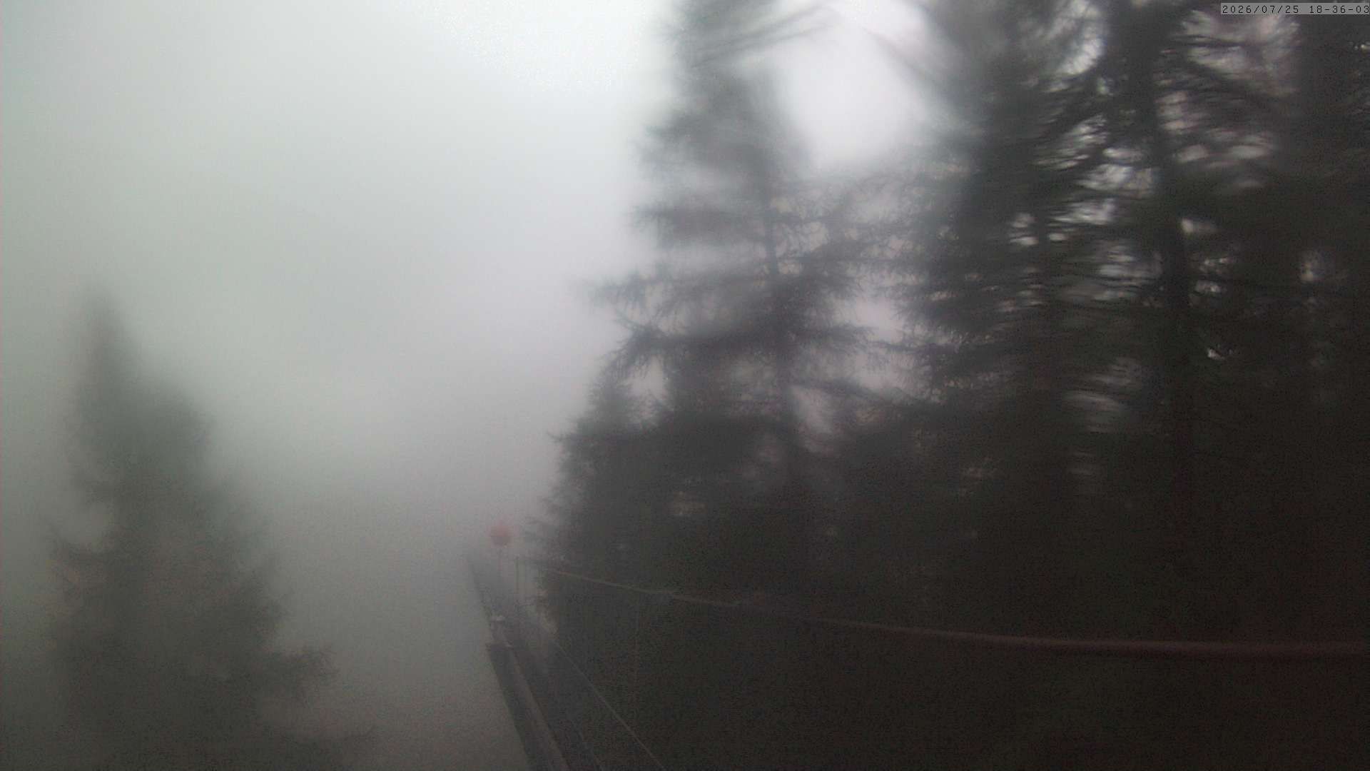 Randa: Charles Kuonen Suspension Bridge