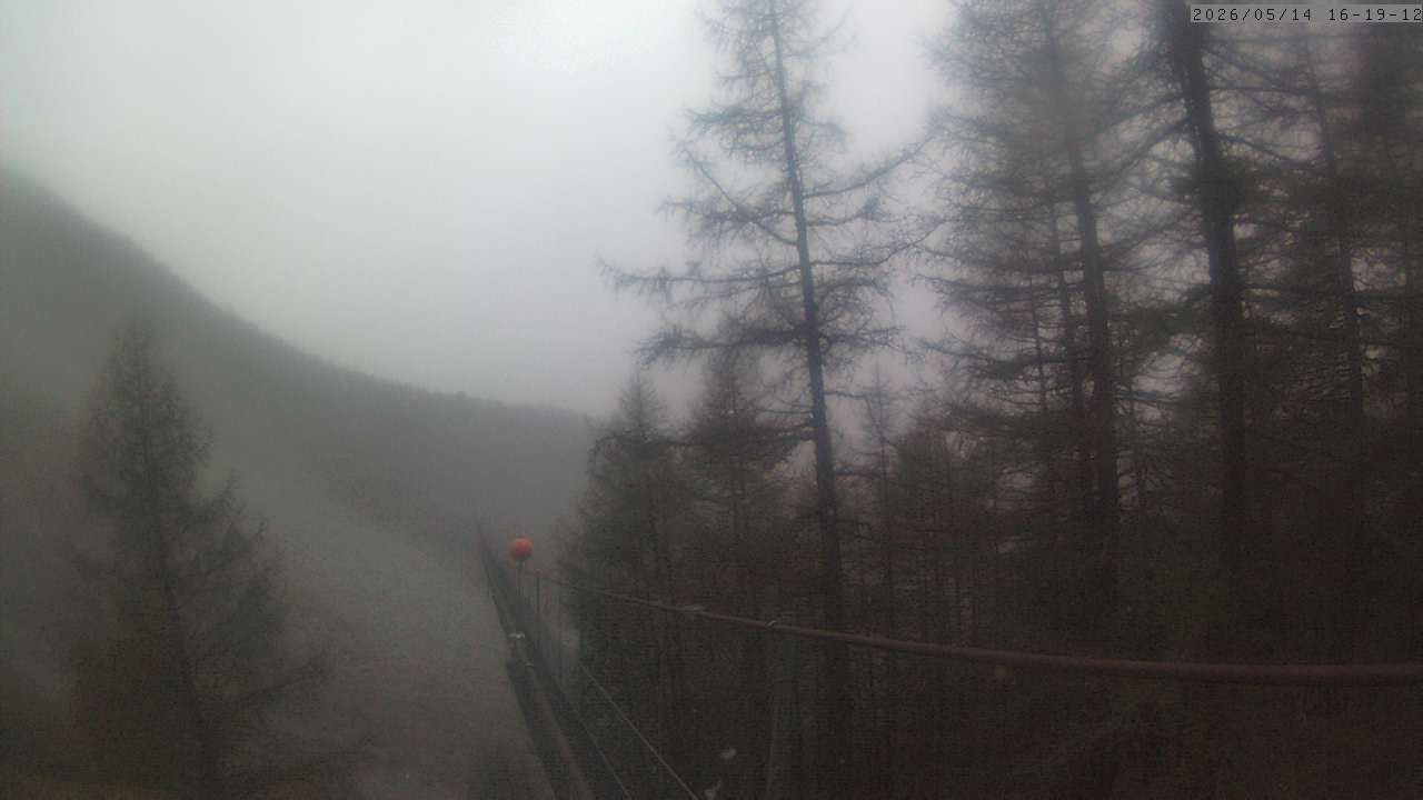 Randa: Charles Kuonen Suspension Bridge