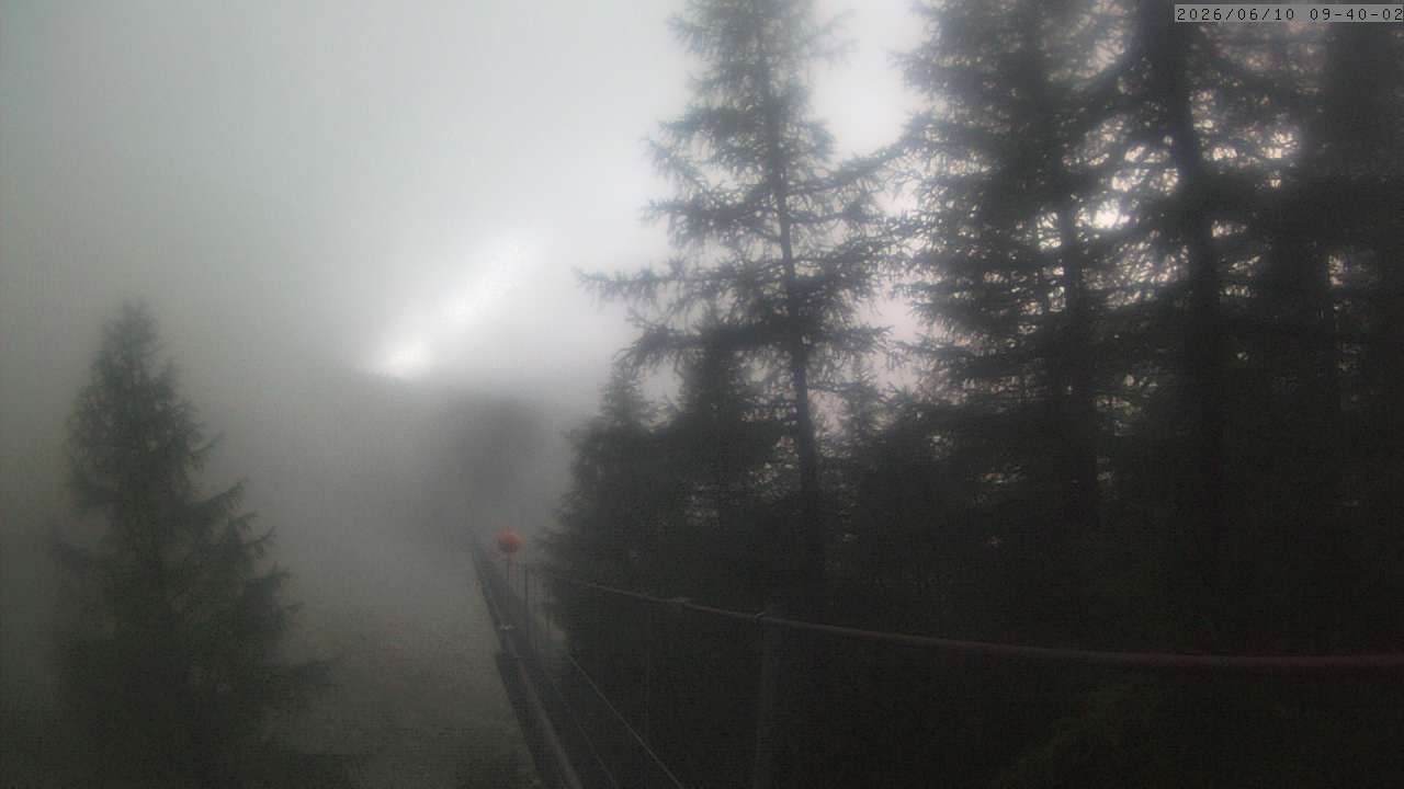 Randa: Charles Kuonen Suspension Bridge
