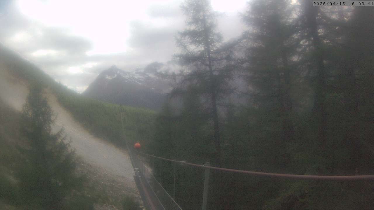 Randa: Charles Kuonen Suspension Bridge