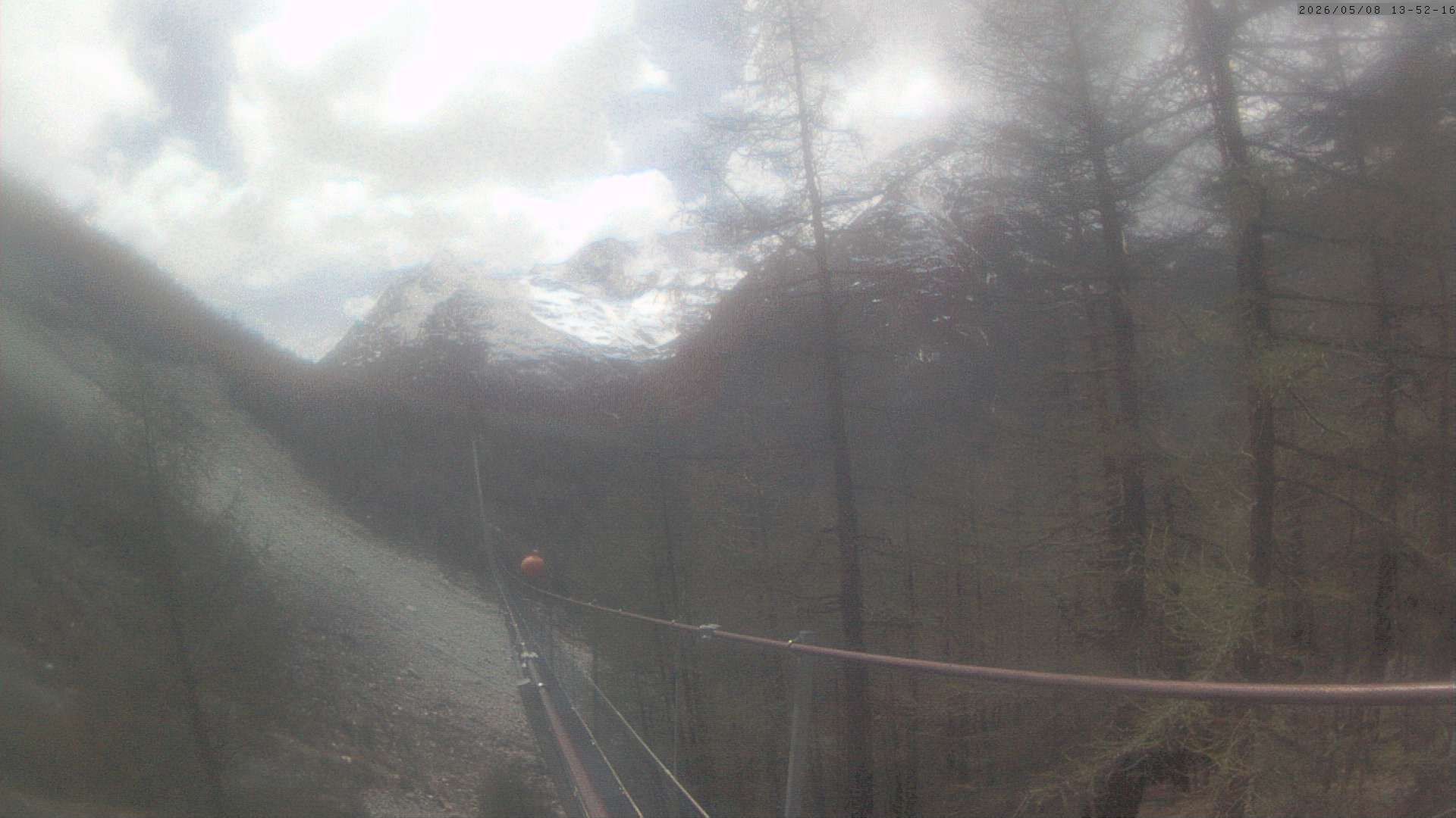 Randa: Charles Kuonen Suspension Bridge