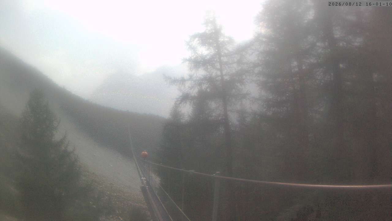 Randa: Charles Kuonen Suspension Bridge