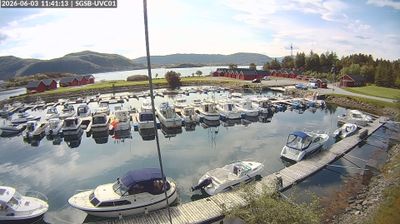 Syvik i dag