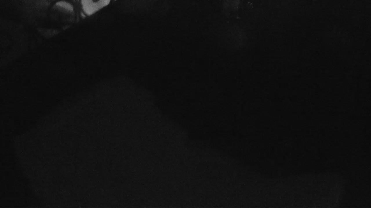 Engelberg: Livespotting - Live aus den Schweizer Alpen in - Obwalden