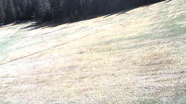 Kaltenbronn sportarea Webcam