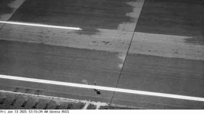 Waseca traffic webcam