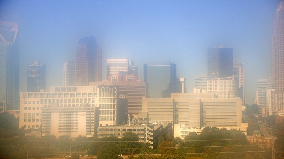 Charlotte during daytime