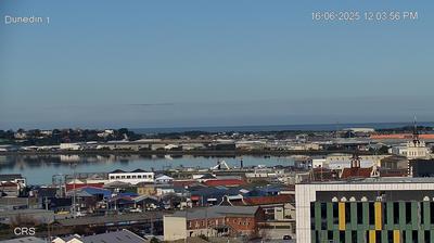 Dunedin today