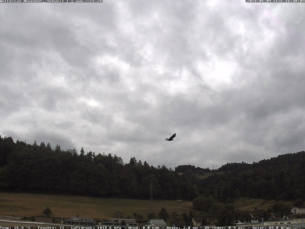 Neuenhof › Südwesten: Wettercam