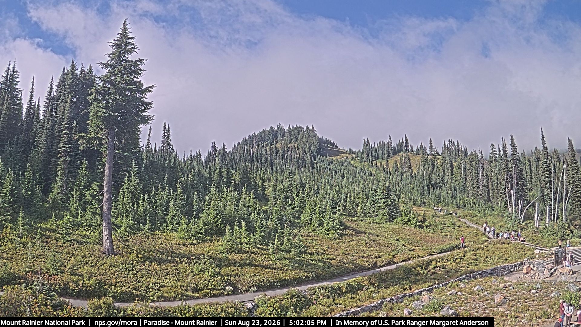 Traffic Cam Paradise: Mt Rainier