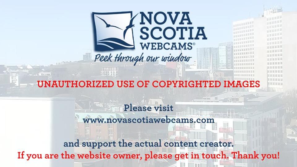 Traffic Cam Halifax: Nuova Scozia - Pier °