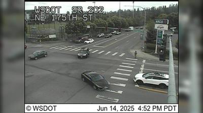 Woodinville Traffic & Landscape View