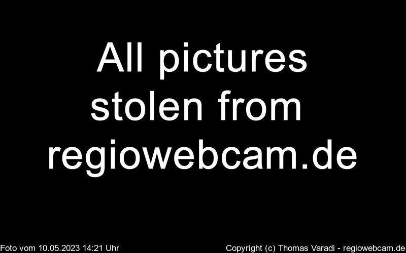 Traffic Cam Kirchzarten: Stork nest